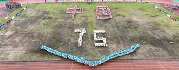 才是关键 才是关键