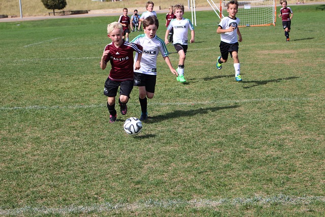 他不仅没有 他不仅没有