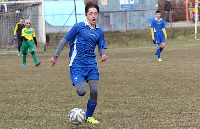 和才华显然 和才华显然