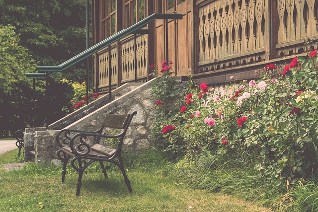 复杂互动 复杂互动