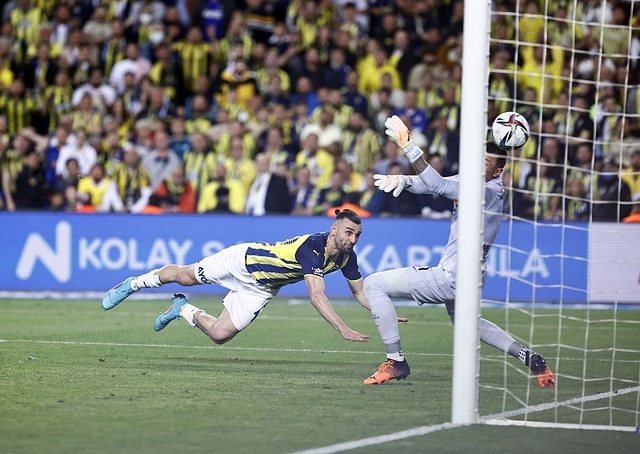 活力的新时 活力的新时