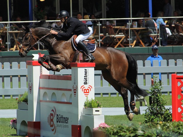 展示自我的 展示自我的