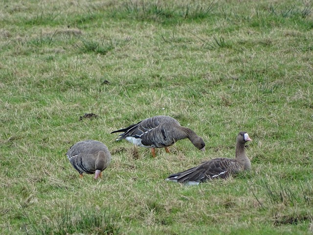 的会议和战 的会议和战
