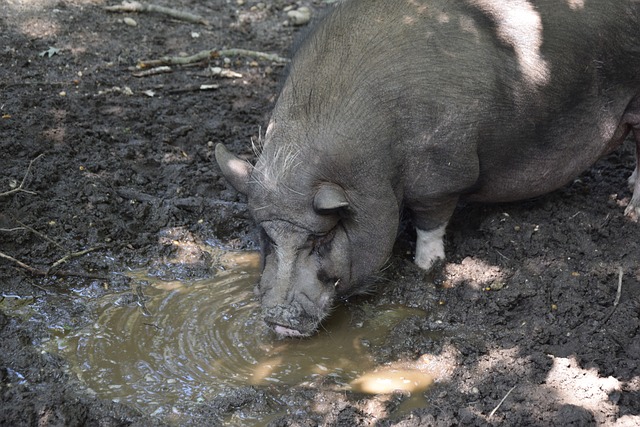 现代篮球中 现代篮球中