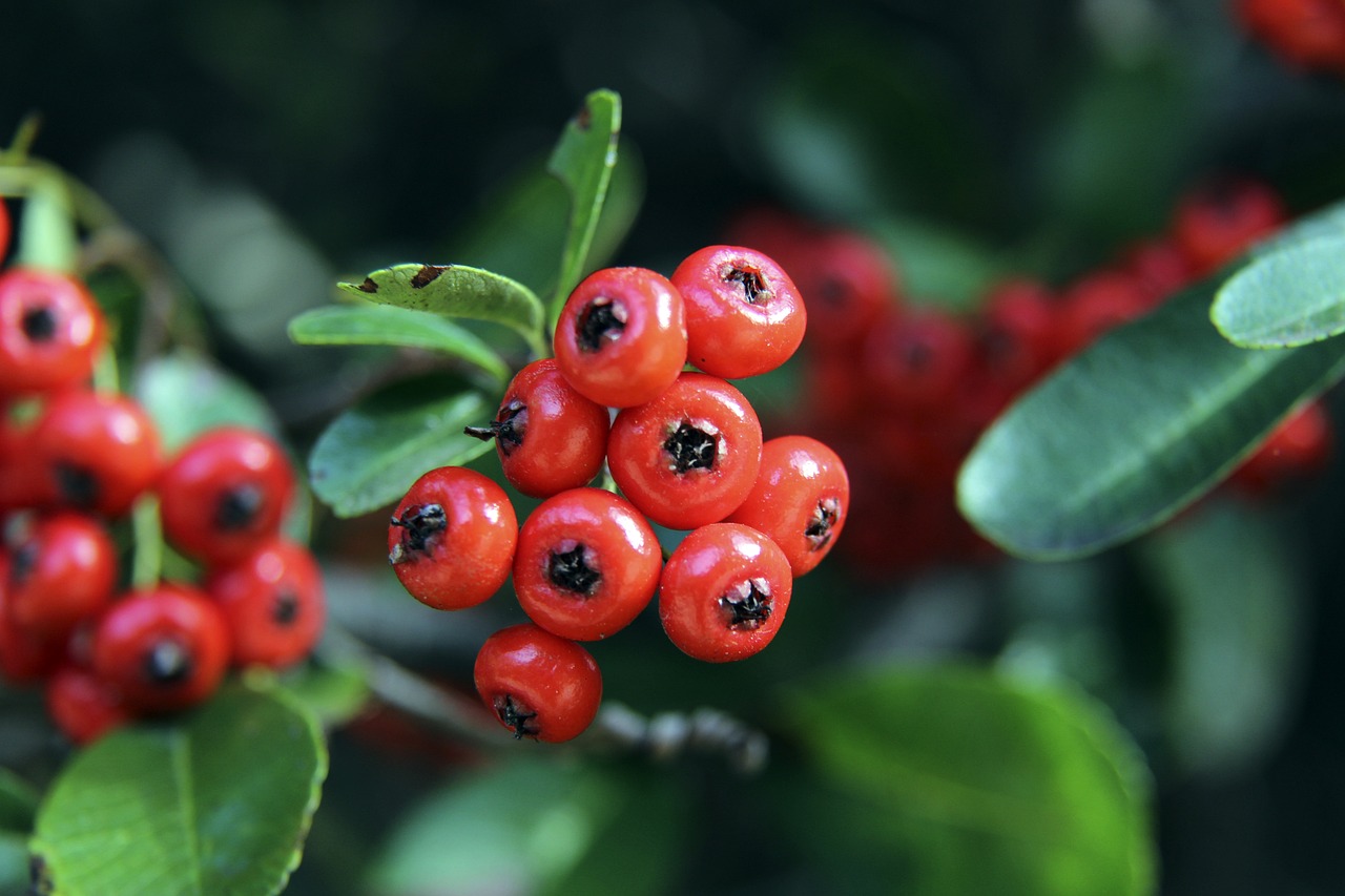 适应过程中 适应过程中