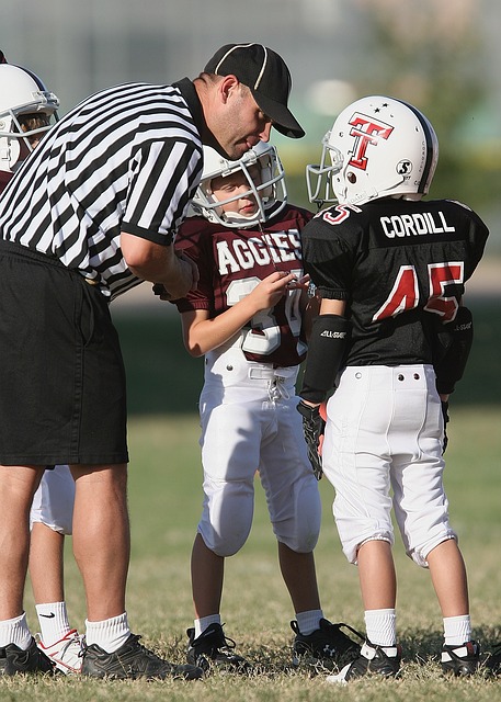 主场作战 主场作战