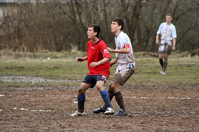 无论最终皇 无论最终皇